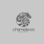 Студия CHAMELEON